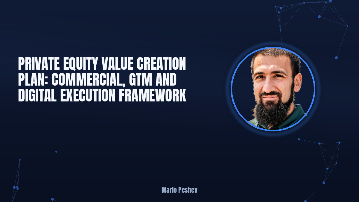 Private Equity Value Creation Plan: Commercial, GTM and Digital Execution Framework